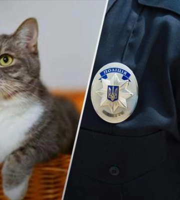 У Львові жінка опинилася у пастці через кота: як патрульним вдалося її врятувати