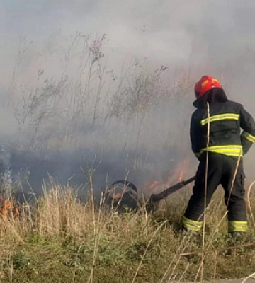 За добу на Дніпропетровщині надзвичайники ліквідували 60 пожеж в екосистемах