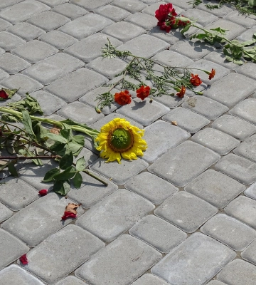 Луцьк попрощається із Романом Члеком та Тимофієм Судимою