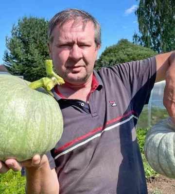 Час збирати дині. Скільки коштують та що з них роблять закарпатці