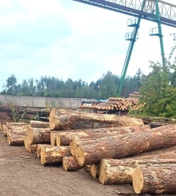 У Дубровиці поліцейські вилучили майже 400 колод деревини