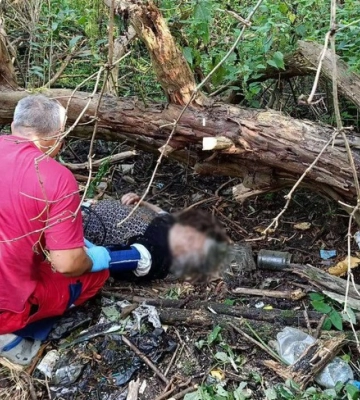 На Львівщині пожежні врятували поранену пенсіонерку з-під поваленого дерева