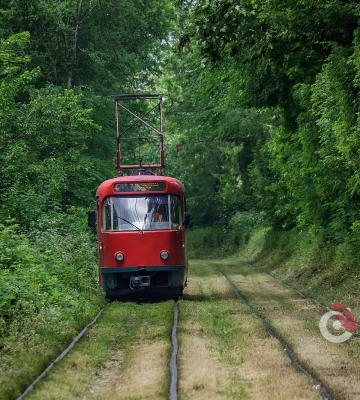 В Днепре произошли изменения в движении некоторого общественного транспорта: подробности