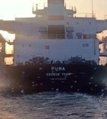 Из одесского порта вышел Балкер PUMA, стоявший &quot;на якоре&quot; с февраля прошлого года - Мининфраструктуры