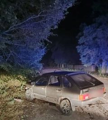 На Полтавщині неповнолітня дівчина напідпитку протаранили на авто дерево