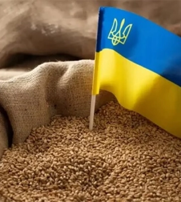 У Німеччині розкритикували рішення Польщі, Угорщини та Словаччини про чергову заборону на імпорт українського зерна