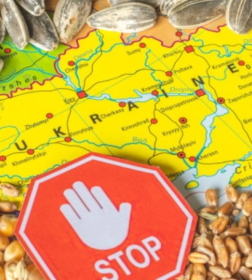 Украина будет судиться с Польшей, Венгрией и Словакией из-за запрета импорта украинского зерна
