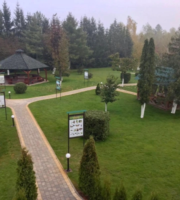 Ківерцівське лісництво назвали кращим в Україні