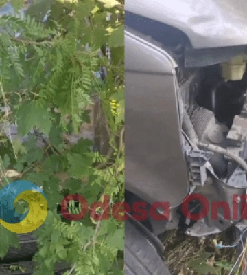 В ДТП в районе трассы Киев-Одесса пострадал ребенок