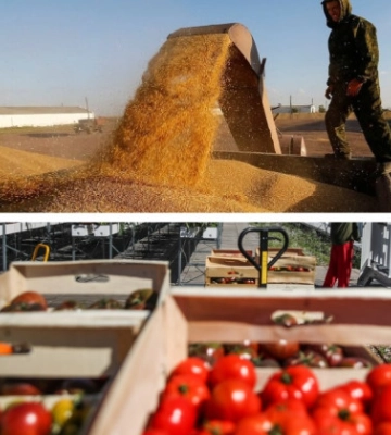 Варшава ввела додаткові заборони на українські продукти, Київ може заборонити польські овочі та фрукти, − Качка