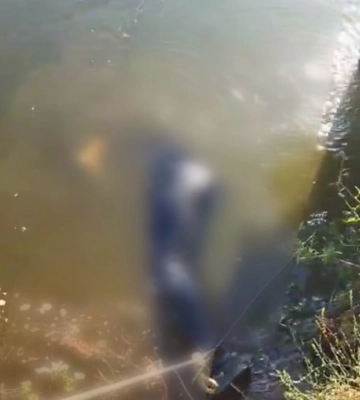 Пірнув у воду та зник: зранку у водоймі під Одесою знайшли тіло чоловіка