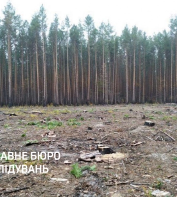 На Волині викрили трьох наркозбувачів, серед яких – жінка: їх затримали