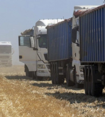 Польща проти українського зерна. Удар, звідки не чекали