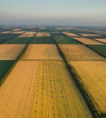 На Львівщині на продаж прав оренди виставили 9 земельних ділянок