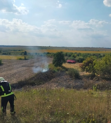 У Луцькому районі горіло 2,5 га поля, шукають паліїв
