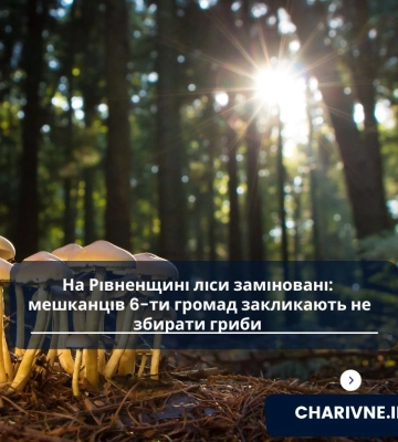 Міни замість грибів: у 6 прикордонних громадах Рівненщини заборонено відвідувати ліси
