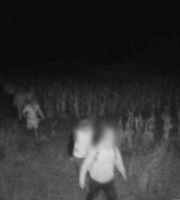 Прикордонники Молдови затримали 11 ухилянтів з України