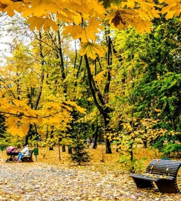 Хмарно з проясненнями та короткочасні дощі. Прогноз погоди у Львові на тиждень