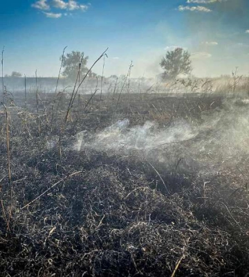 На Одещині вигоріла велика площа землі