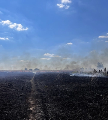 Пожежу біля Епіцентру ліквідували (ФОТО)