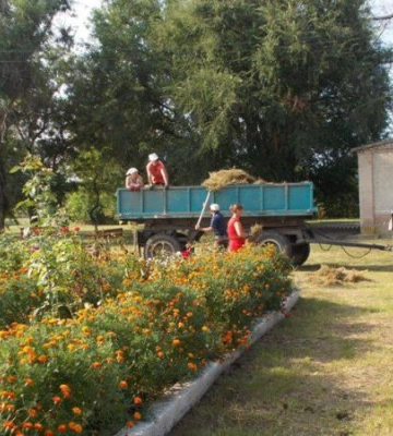 На Дніпропетровщині ліквідували сміттєзвалища