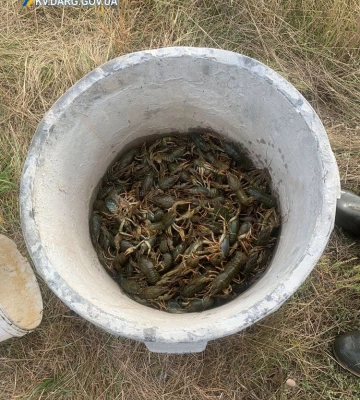 Під Києвом чоловік наловив раків на пів мільйона гривень