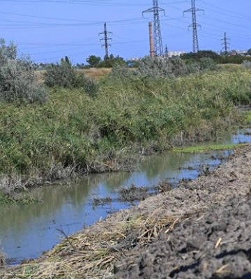 Окупанти скоюють екоцид біля Мелітополя, руйнуючи береги річки Молочна, — Іван Федоров