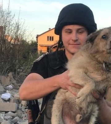 В Сумах умер пес, которого достали из-под завалов одного из домов