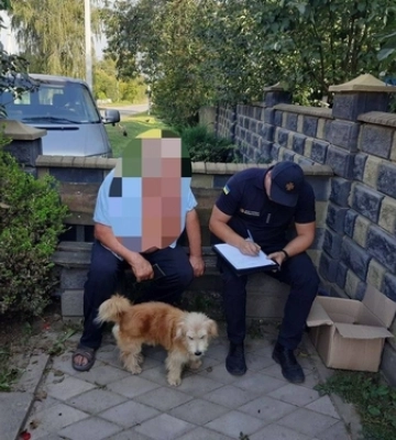 Горіло майже три години: знайшли чоловіка, який підалив суху траву поблизу Олики