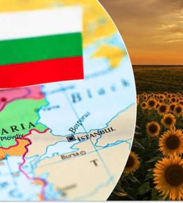 Пока не согласуют объемы: Болгария запретила импорт украинского подсолнечника