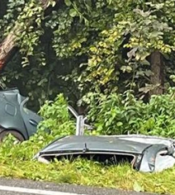 На Львівщині авто протаранило дерево: є загиблі та травмовані (ФОТО)