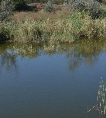 Отримай відповідь: як працює новий водогін в Дніпропетровській області