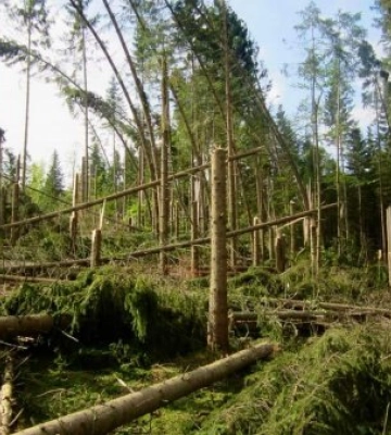 Наслідки негоди, що пронеслася Закарпаттям наприкінці серпня, класифікували як надзвичайну ситуацію природного характеру&amp;hellip;
