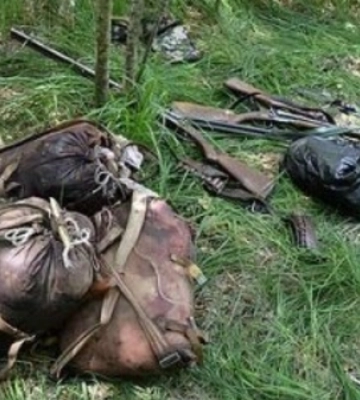 Нашкодили на 130 000 гривень: у нацпарку на Волині браконьєри вбили лося