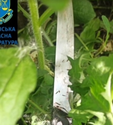 Убив рідного брата: волинянин проведе за ґратами вісім років