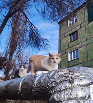 Какая готовность Кривого Рога к отопительному сезону