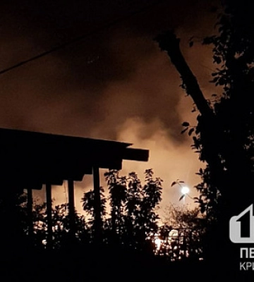Вночі у Кривому Розі горіло дерево