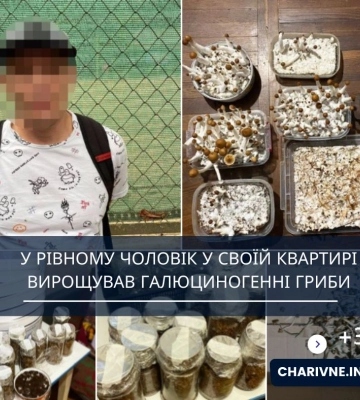 У Рівному чоловік продав «чарівні» гриби: За один грам просив 200 грн