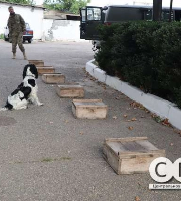 Кінологи поліції Кіровоградщини отримали від американського фонду трьох собак (фоторепортаж)
