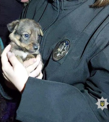 Ракетний удар по Одещині: поліцейські документують наслідки