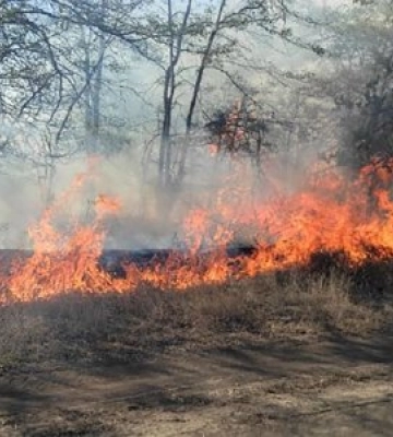 За добу на Миколаївщині зареєстровано 22 пожежі