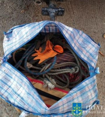 На Полтавщині викрили групу осіб, які спиляли понад 400 дерев на суму майже 2 млн грн