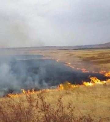 Від початку року в одному з районів Рівненщини горіло 51 га землі