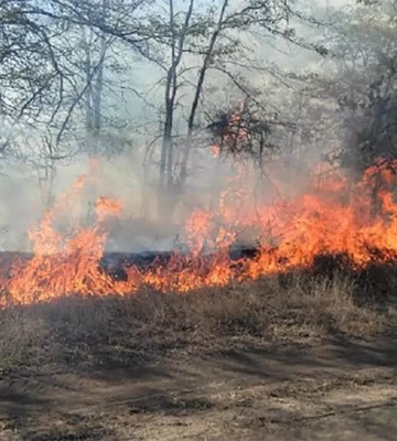 За добу на Миколаївщині зареєстровано 22 пожежі