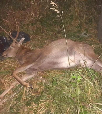 На Запорізькому напрямку загинув Герой з Волині Іван Воробей