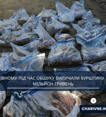 У Рівному під час обшуку вилучили бурштину  на мільйон гривень