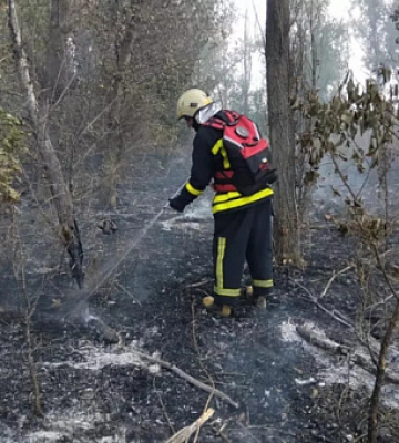 Вогнеборці Дніпропетровщини загасили 29 пожеж в екосистемах