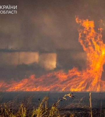 В Одеській області рятувальники борються з масштабними пожежами