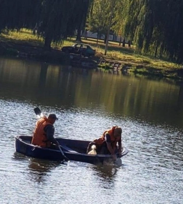У рівненському Гідропарку провели вапнування води