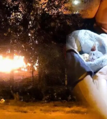 У Києві горів відомий притулок для тварин «Котохата»